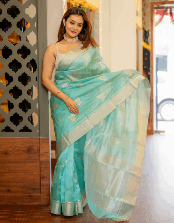 Handwoven Pure Chanderi Pattu