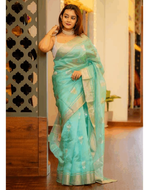 Handwoven Pure Chanderi Pattu