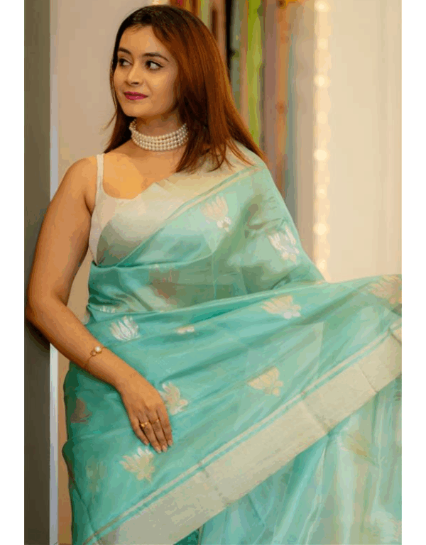 Handwoven Pure Chanderi Pattu