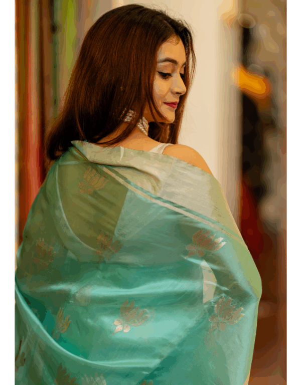 Handwoven Pure Chanderi Pattu