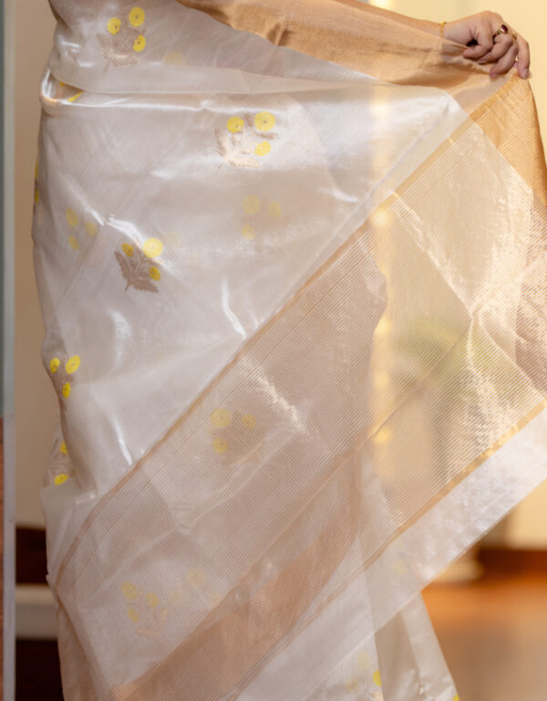 Chanderi Handwoven Handloom Pure Silk