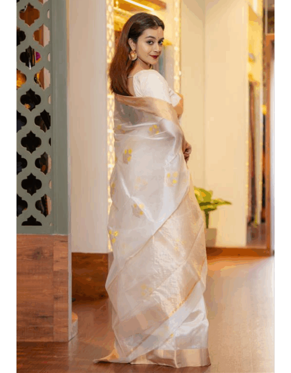Chanderi Handwoven Handloom Pure Silk