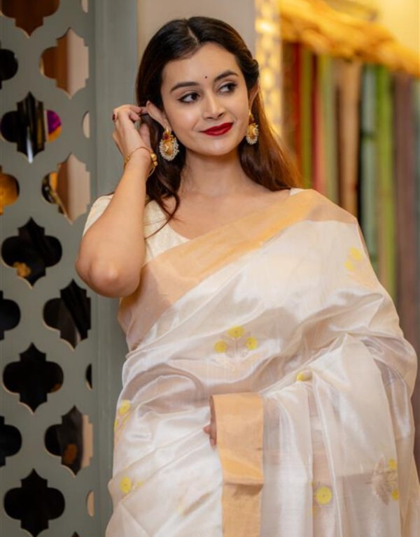Chanderi Handwoven Handloom Pure Silk