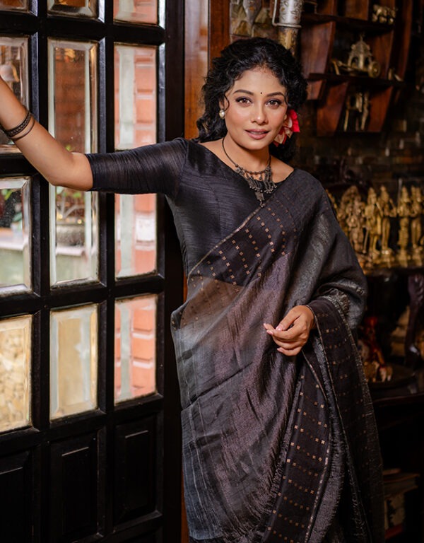 Handwoven Bangalore Silk Sequins Weave