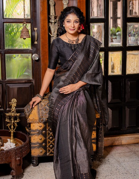 Handwoven Bangalore Silk Sequins Weave